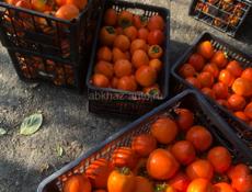 Продаю  хурма бычка 