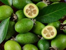 куплю фейхоа