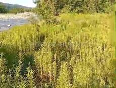 Продается Земельный участок Турбаза