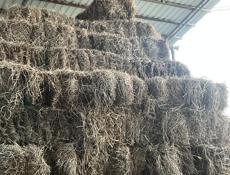 СЕНО,мощный мощный