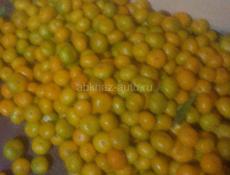 Продам мандарин собранные 