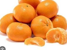 Собираем Мандорины, 