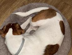 Продаётся срочно!!!!!  Вещи есть пеленки и латок 