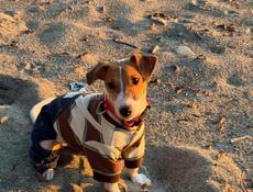 Продаётся срочно!!!!!  Вещи есть пеленки и латок 