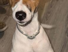 Продаётся срочно!!!!!  Вещи есть пеленки и латок 