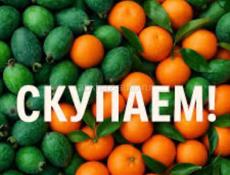 Фейхуааааа мандарины 