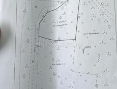 Цандрипш 9 соток