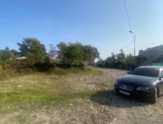 Продаю срочно,Цандрипш 4 соток ,2,3🍋