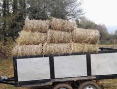 Сено в тюках по 600