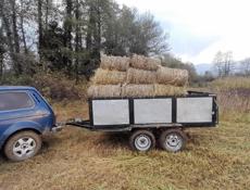 Сено в тюках по 600