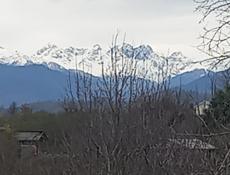 КАПИТАЛЬНЫЙ ЖИЛОЙ  ДОМ,