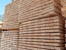 Российский лес 