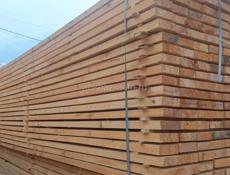 Российский лес 