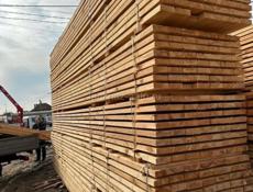 Российский лес