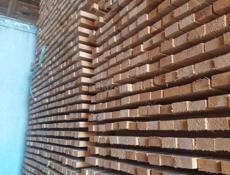 Российский лес