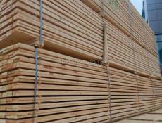 Российский лес