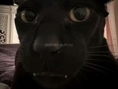 Ищу любую работу ватсап 