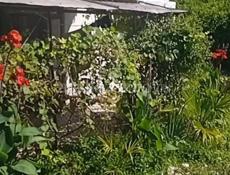 Продаю дом в цандрипше 