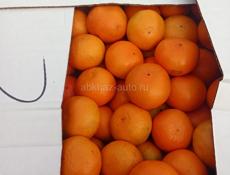Мандарины продам