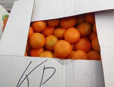 Мандарины продам