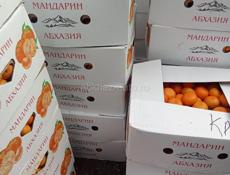 Мандарины продам