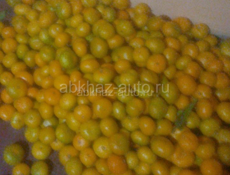 Продаю мандарин 110