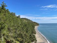 Срочно центр Пицунды