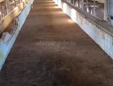 Продам ферму