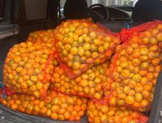 Продам мандарины 