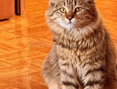 В поисках работы!