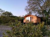 Сниму дом под присмотр на зиму