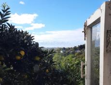 Сниму дом под присмотр на зиму