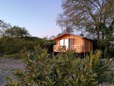 Сниму дом под присмотр на зиму