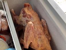 Готовые поросята и индюки