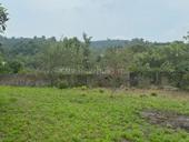 Гагра, 12 соток, 1,5 млн