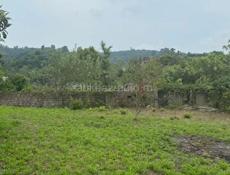 Гагра, 12 соток, 1,5 млн