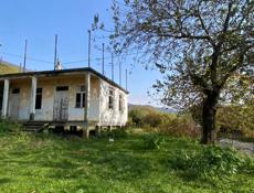 Дом с участком 