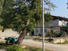 Дом с участком 