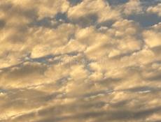 Уборка квартир, офисов и тд или в гос учреждения