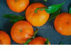 мандарин продаю