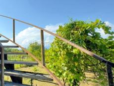 Продается в Сухум на чанба дом 2 х этажный на 4 сотках