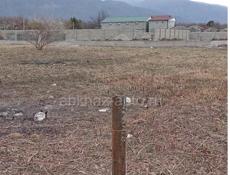 Алахадз ул шаумяна