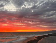 6 сотых, с документами, возле самшитовой рощи