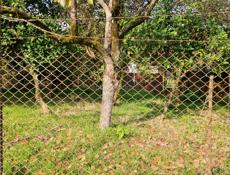 Продам дом с участком