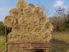 Сено в тюках 