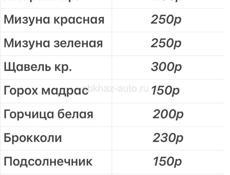 Микрозелень