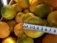 МАНДАРИНЫ И КИВИ