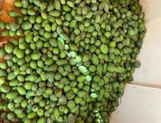 Фейхоа продаётся 