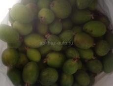 Продам фейхуа 
