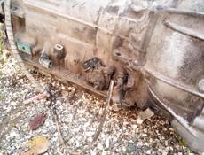 Карапка Автомат